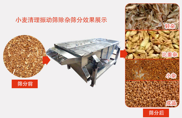 小麥清理振動篩小麥篩分效果展示圖可同時(shí)篩分出輕雜，比重雜，小雜，成品等四個(gè)等級。